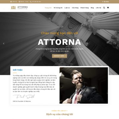 Theme wordpress công ty luật 02